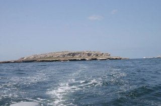  Diving in Banderas Bay 